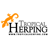 Tropical Herping